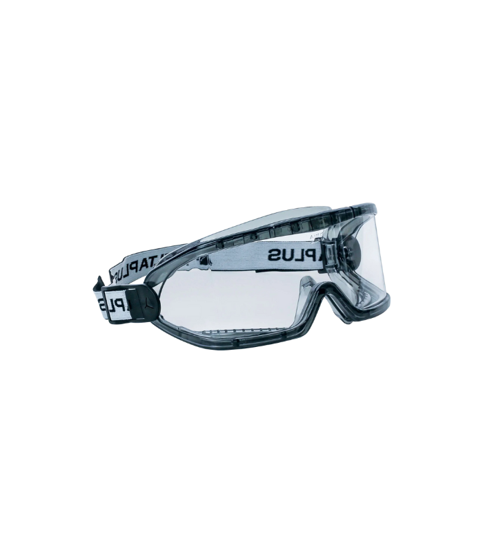 Delta Plus Clear Polycarbonate Goggles - Indirect Ventilation